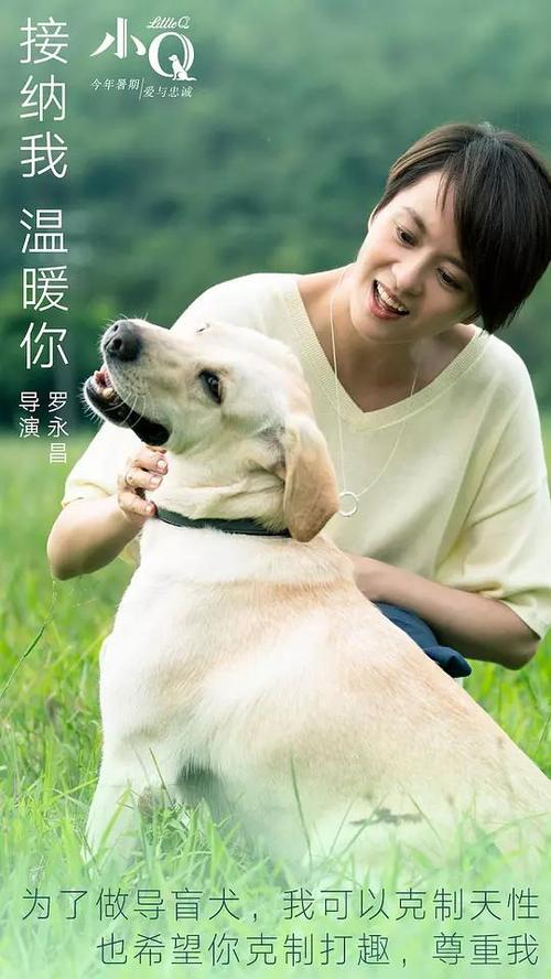不动产抵押权证范本